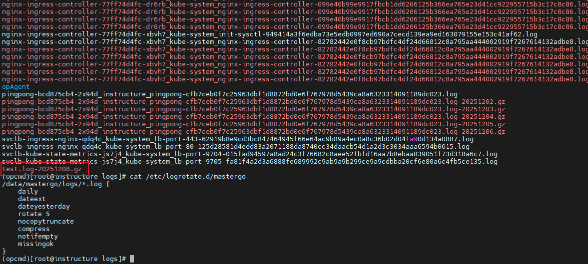 image-20260104230831103